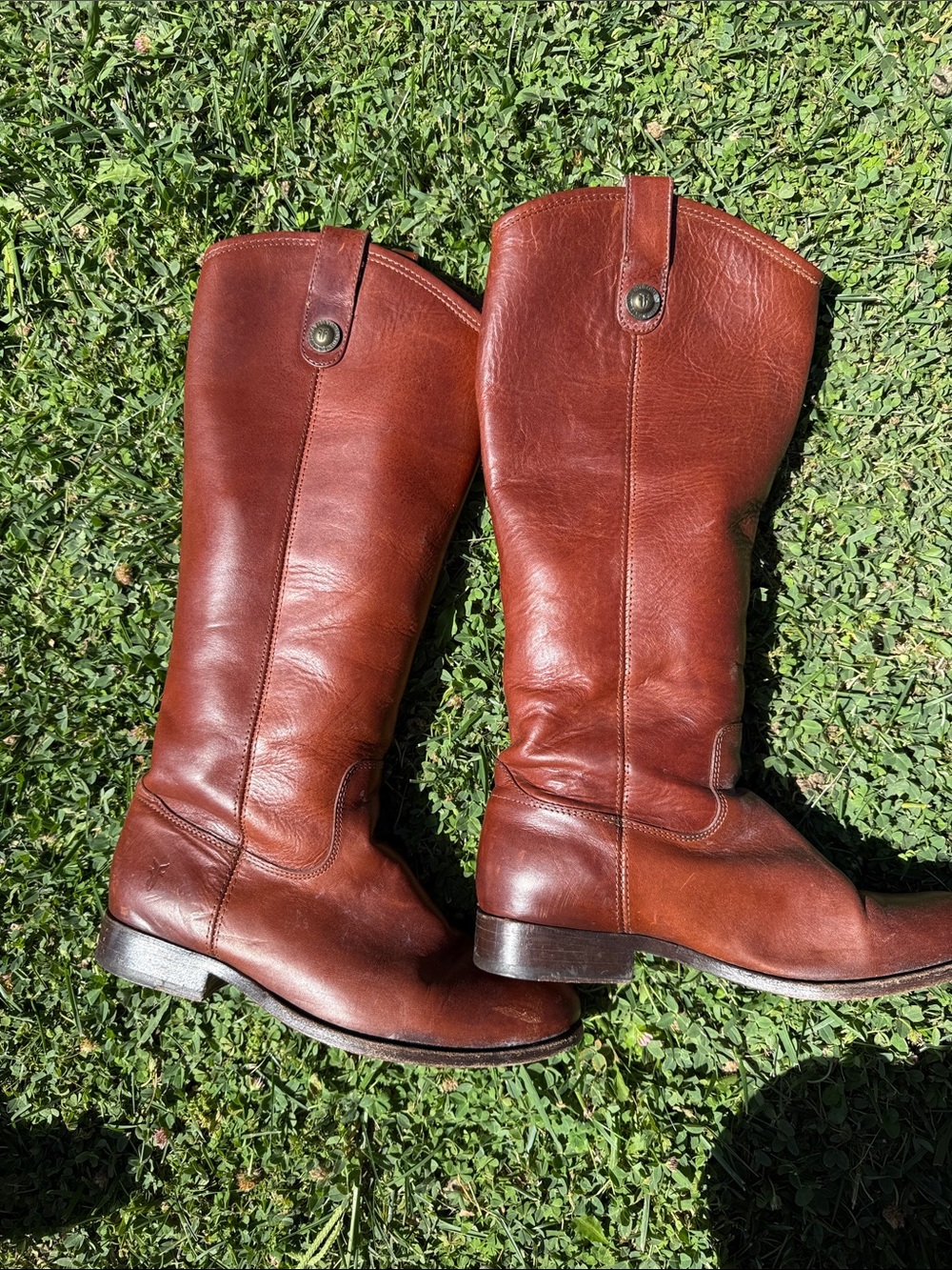 Frye Chestnut Brown Leather Tall Western Boots